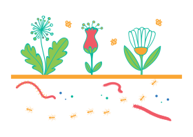 Icone biodiversite